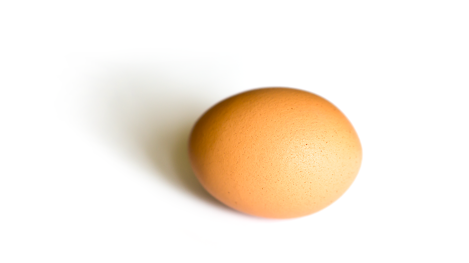 egg-1266606_960_720