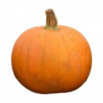 pumpkin-217086_640
