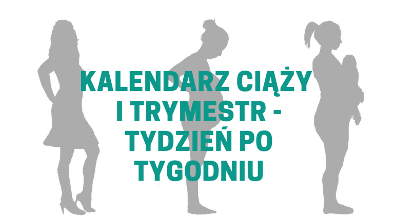 Co się dzieje w poszczególnych tygodniach ciąży – pierwszy trymestr