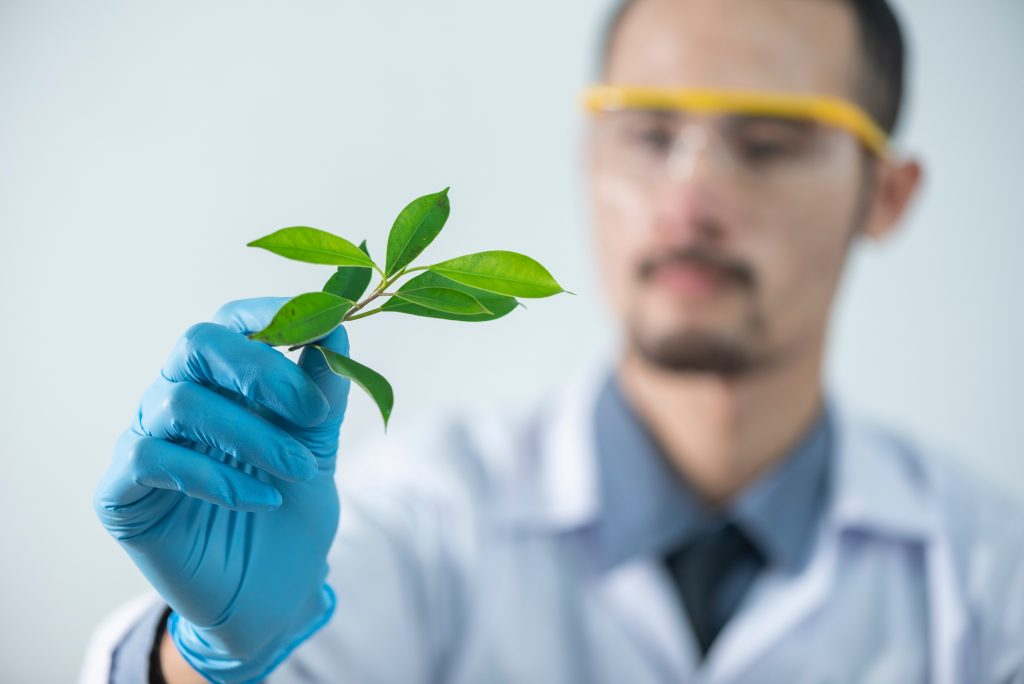 laborant przeprowadza kontrolę jakości roślin z upraw ekologicznych