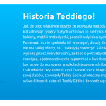 historia teddy eddie